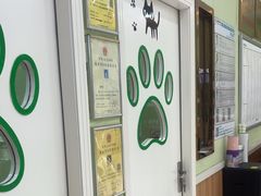 -瑞鹏宠物医院·夜间急症·心超·猫科(祖庙分店)