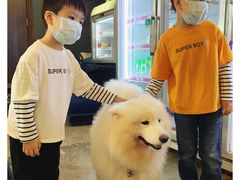 -more than meow吴止猫主题餐厅(承德 中船汇店)