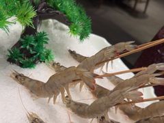 -南门四季铜锅涮肉(大屯·北苑店)