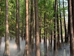 -东湖落雁景区