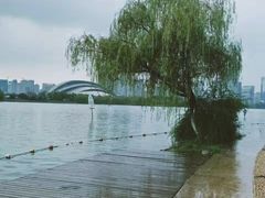-天鹅湖体育公园