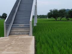 -艾米稻香小镇