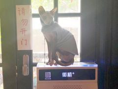 -猫色咖啡·猫咖