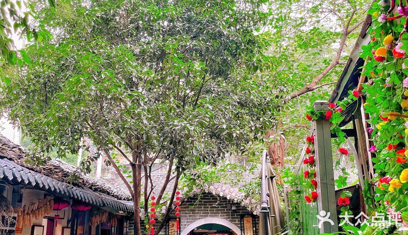 土生土长的成都人带我走进了一个㊙️神秘小院‼️