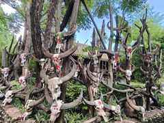-云南民族村