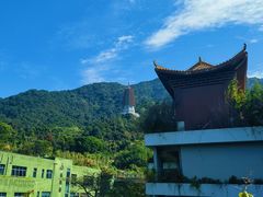 -深圳仙湖植物园