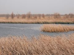 -野鸭湖国家湿地公园