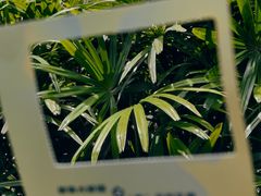 -广州花园酒店