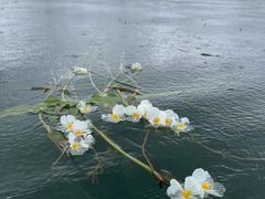 -丽江泸沽湖景区