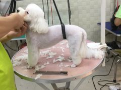-贝妮宠物医院