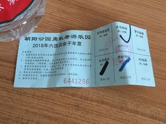 -朝阳公园游乐园