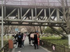 -宁波儿童公园(鄞州区)