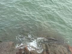 -鼓浪屿·皓月园