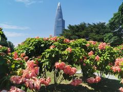 -深圳湾公园(南山区)