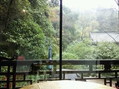 android_upload_pic-十八棵（老龙井）御茶园(老龙井店)