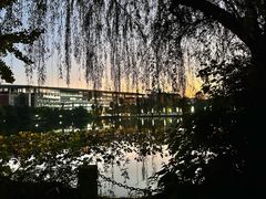 -西南政法大学(渝北校区)
