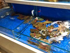 -姜君·千岛湖鱼头馆(浦东大道店)