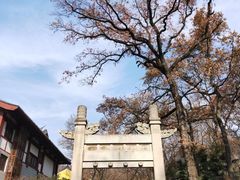 -灵谷景区