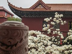 -皇罗禅寺