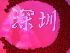 -深圳独角兽星空艺术馆