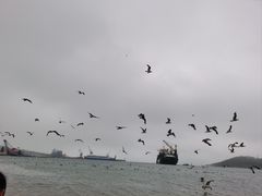 -海驴岛(荣成市)