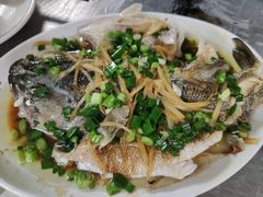 -黎记大排档(慈云路店)