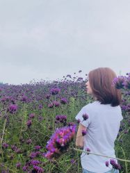 -Doris多里斯半永久纹眉·SMP纹发·发际线