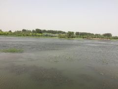 -东郊湿地公园