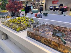 -集品鲜湾·蒸汽海鲜自助料理(青岛银座和谐广场店)