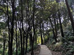 -广州市白云山风景名胜区