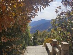 -灵岩山风景区