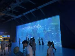-波塞冬海底世界