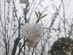 -常德桃花源景区