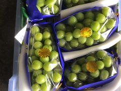 -东方鼎信农副产品交易中心