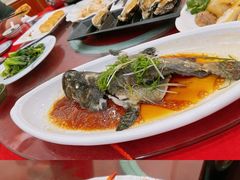 -湛江渔港·大排档(乐园路总店)