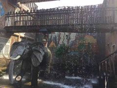 -北京呀路古热带植物园