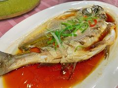 清蒸鲜白鱼-西新饭店(城中店)