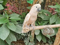 -南宫五洲植物乐园