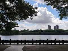 -番禺大夫山森林公园