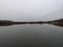 -大兴滨河森林公园