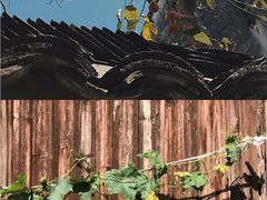 -乌镇东栅景区