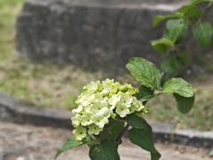 -明故宫遗址公园