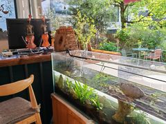 -Cafe In Little Forest