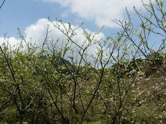 -金堂县云顶石城风景区