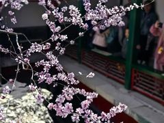 -颐和园