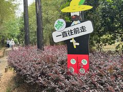 -九龙潭景区