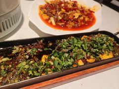 -院8里·小聚园老川菜(九眼桥店)