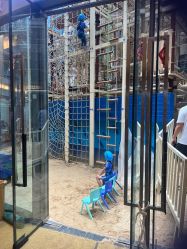 -PIPIKINGDOM皮皮王国欢乐号(欢乐海岸购物中心店)