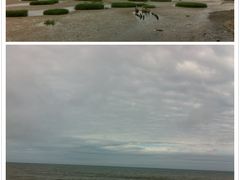 -刘家湾赶海园