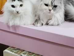 -美联众合动物医院·24h京西诊疗中心